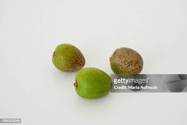 three mature argan nut fruits on a white background - argan photos et images de collection
