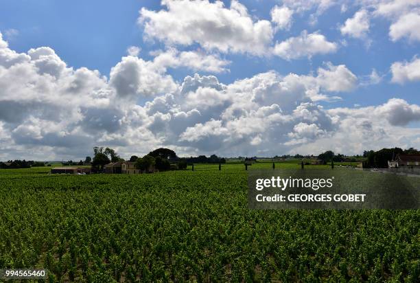 Picture taken on July 5, 2018 at the Chateau La Grace Dieu des Prieurs estate, Saint Emilion near Bordeaux, owned by Russian business man Andrei...