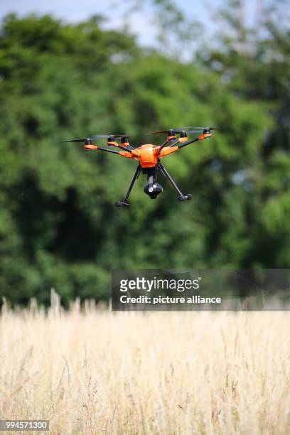 June 2018, Germany, Gera: A drone flying over a field near Gera. A project was initiated in the spring of 2018 by the Tierschutzverein Gera und...