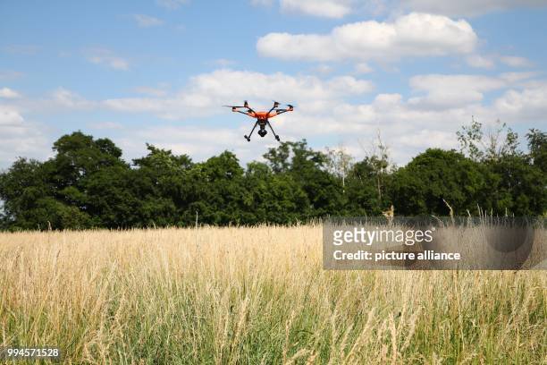 June 2018, Germany, Gera: A drone flying over a field near Gera. A project was initiated in the spring of 2018 by the Tierschutzverein Gera und...