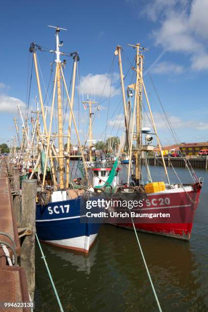 Buesum, harbor place directly at the Nort Sea. Crab fishing boats in Buesum harbor.