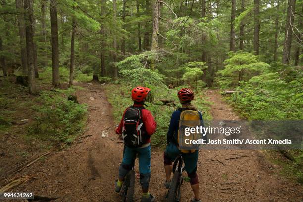 mountain biking couple consider alternate pathways, in forest - escolhas imagens e fotografias de stock