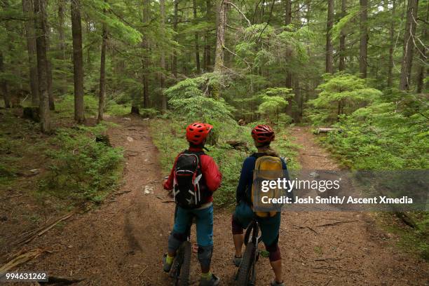mountain biking couple consider alternate pathways, in forest - alternativ bildbanksfoton och bilder