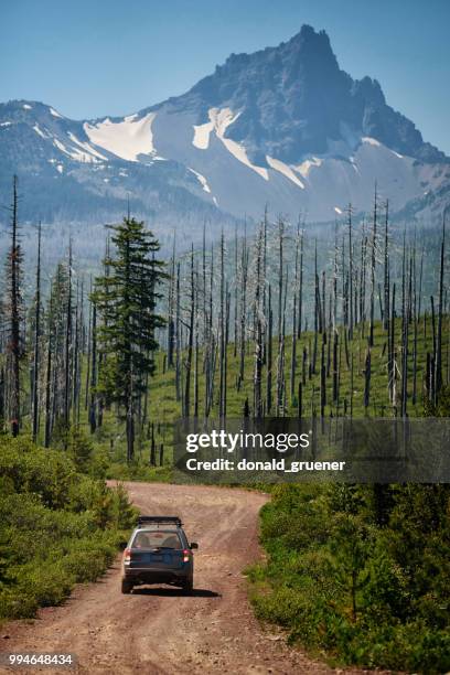 subaru forester in oregon cascades - oregon forest fire stock pictures, royalty-free photos & images