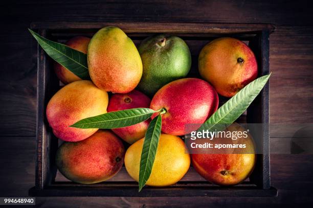 tropische früchte: hölzerne kiste mit sortierten mangos in rustikalen küche. natürliche beleuchtung - obstauslage stock-fotos und bilder