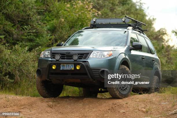 subaru forester in oregon wilderness - fuji heavy industries stock pictures, royalty-free photos & images