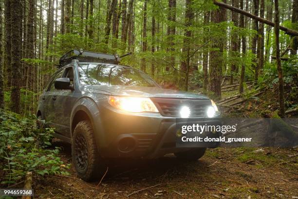 subaru forester in oregon forest - fuji heavy industries stock pictures, royalty-free photos & images