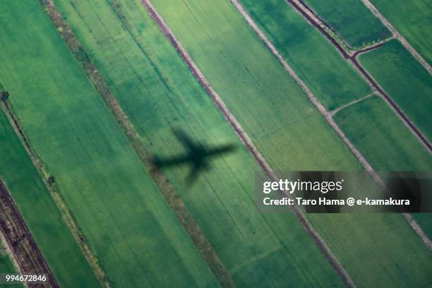 the airplane silhouette on fields and rice paddies in bangkok in thailand daytime aerial view from airplane - taro hama 個照片及圖片檔