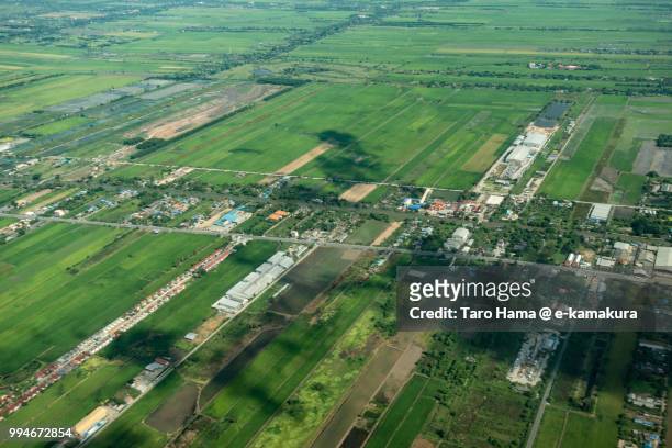 fields and rice paddies in bangkok in thailand daytime aerial view from airplane - taro hama 個照片及圖片檔