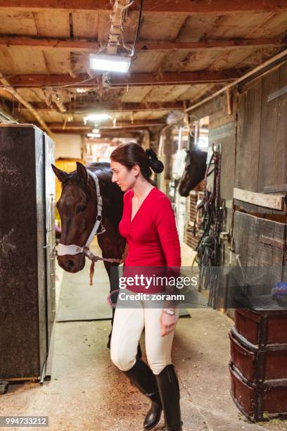 leading a horse through stable - grace tame stock pictures, royalty-free photos & images