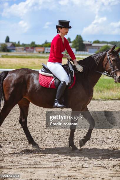 easy trotting horseback riding - grace tame stock pictures, royalty-free photos & images