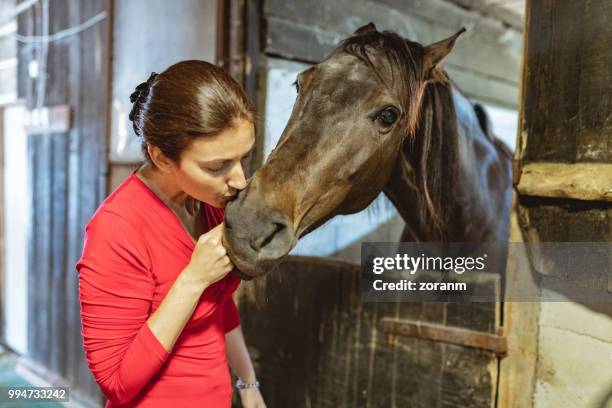 affection for a horse - grace tame stock pictures, royalty-free photos & images