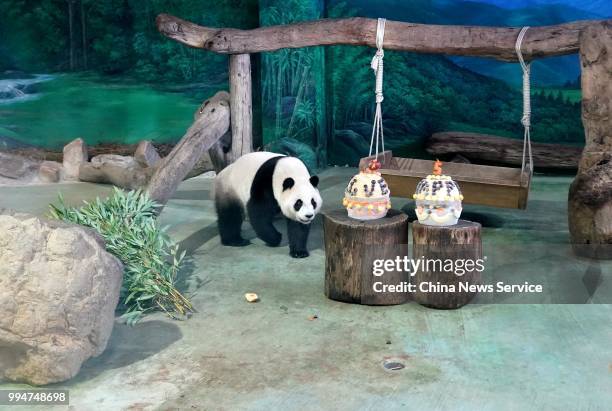 Giant panda Yuanzai enjoys birthday cake at the Taipei Zoo on July 6, 2018 in Taipei, Taiwan of China. Taipei Zoo celebrated the 5th birthday of...