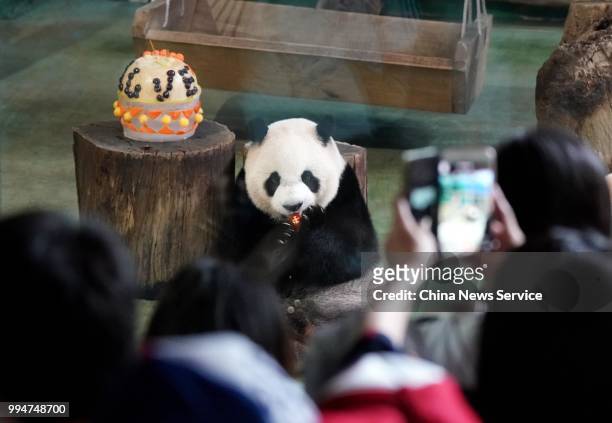 Giant panda Yuanzai enjoys birthday cake at the Taipei Zoo on July 6, 2018 in Taipei, Taiwan of China. Taipei Zoo celebrated the 5th birthday of...