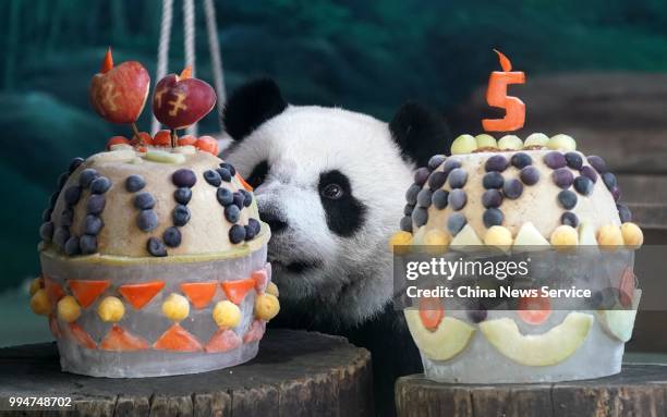 Giant panda Yuanzai enjoys birthday cake at the Taipei Zoo on July 6, 2018 in Taipei, Taiwan of China. Taipei Zoo celebrated the 5th birthday of...