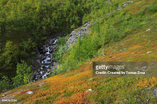 autumn scenery in rapadalen valley - norrbotten province stock pictures, royalty-free photos & images