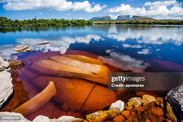 blick auf den carrao fluss und tepuis in canaima-nationalpark, venezuela - la gran sabana stock-fotos und bilder