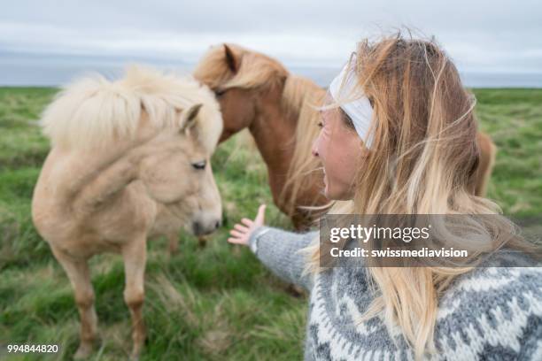 young woman petting icelandic horse in meadow - icelandic horse stock pictures, royalty-free photos & images