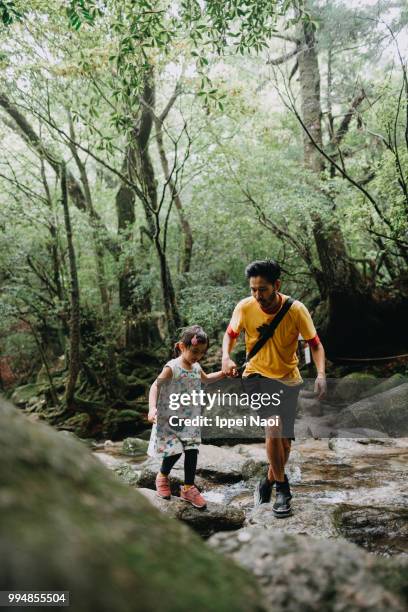 father and little girl hiking in forest, yakushima island, japan - ippei naoi 個照片及圖片檔