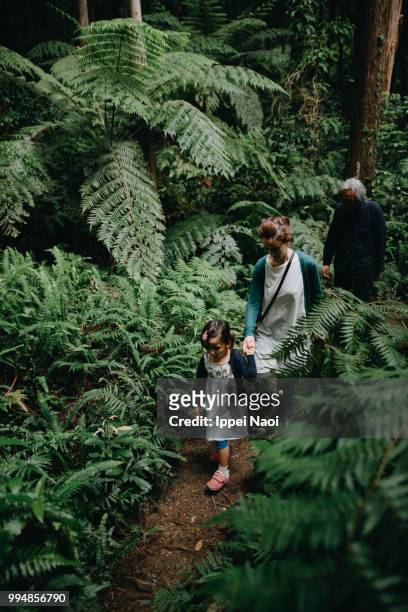 family hiking in rainforest of yakushima island, japan - ippei naoi fotografías e imágenes de stock