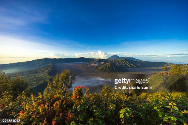 beautiful view landscape of active volcano crater with smoke at mt. bromo, east java, indonesia. - shaifulzamri stockfoto's en -beelden