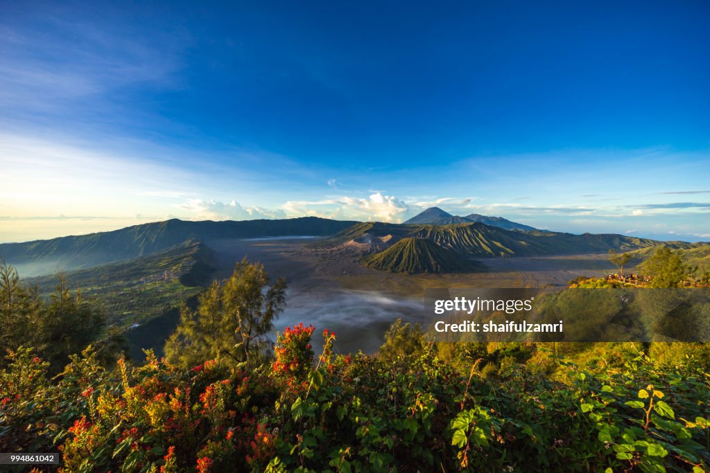 Beautiful view landscape of active volcano crater with smoke at Mt. Bromo, East Java, Indonesia.