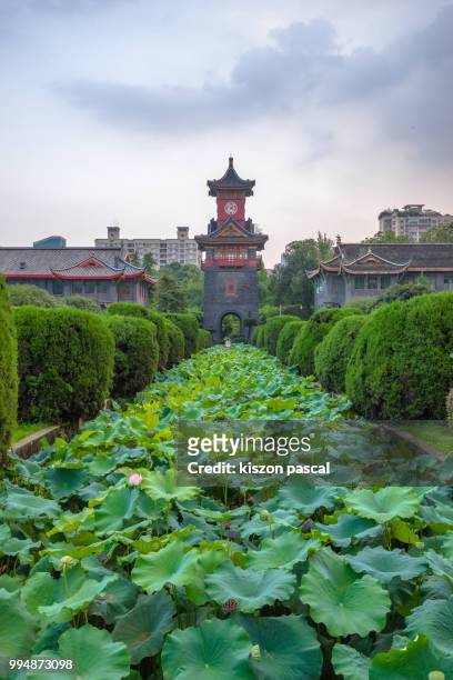 tower in chinese style architecture inside sichuan university in chengdu , china - chinese tower imagens e fotografias de stock