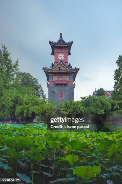 tower in chinese style architecture inside sichuan university in chengdu , china - chinese tower stock pictures, royalty-free photos & images
