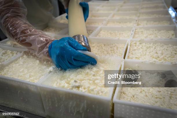 An employee fills molds with milk curds and whey at the Nicasio Valley Cheese Co. Facility in Nicasio, California, U.S., on Friday, July 6, 2018....