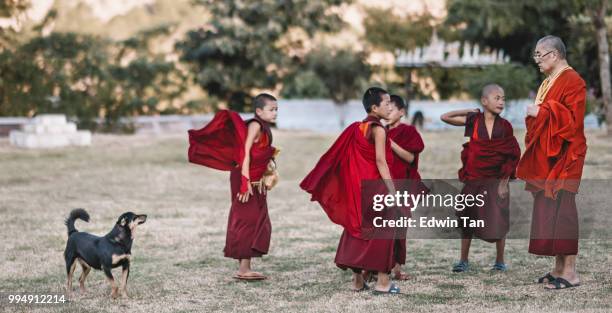 an old monk talking to a few young monk while a dog pass by - bhutan monk stock pictures, royalty-free photos & images