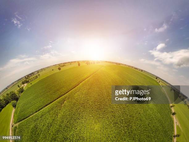 360° panoramic view of corn fields with sunlight - pjphoto69 stock pictures, royalty-free photos & images