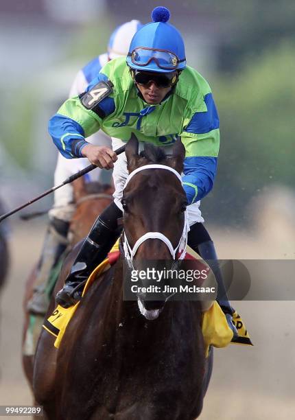 Acting Happy, ridden by Jose Lezcano, after crossing the finish line to win The Black Eyed Susan Stakes at Pimlico Race Course on May 14, 2010 in...