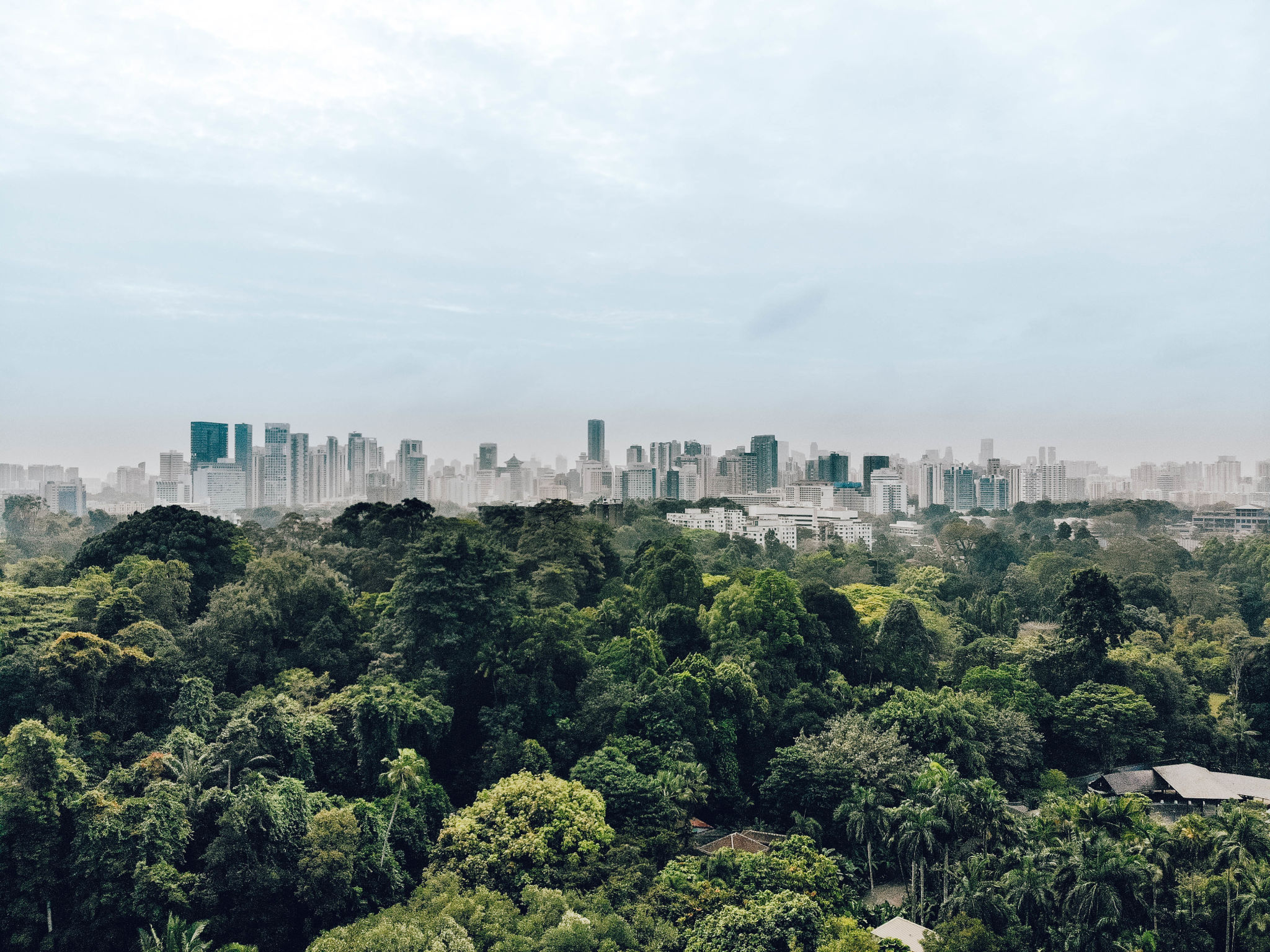 singapore park