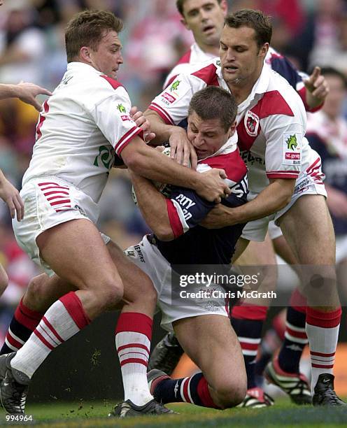 Rusty Ricketson 216 Luke Ricketson Roosters Stock Photos, High-Res Pictures, and Images ...