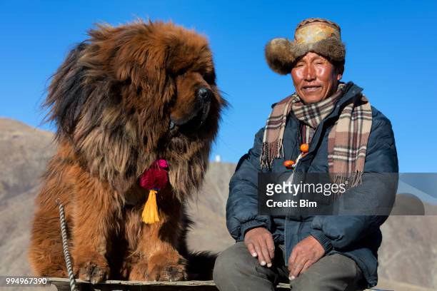 tibetan shepherd with his mastiff dog - tibetan ethnicity stock pictures, royalty-free photos & images