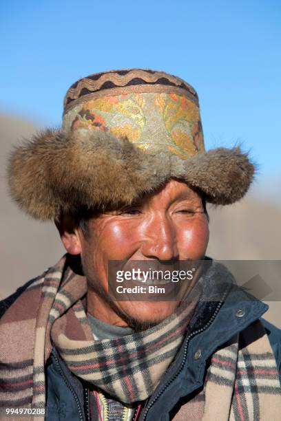 tibetan shepherd - jewel shepard stock pictures, royalty-free photos & images