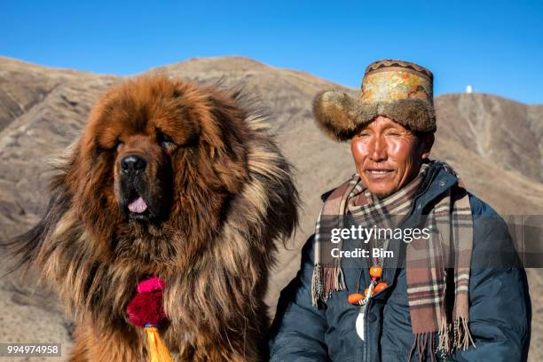 tibetan shepherd with his mastiff dog - tibetan mastiff stock pictures, royalty-free photos & images