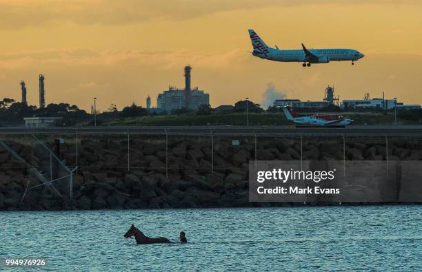 Racehorse has an early morning swim with its handler in Botany Bay as a Virgin Australia jet lands at Sydney Airport on July 10, 2018 in Sydney,...