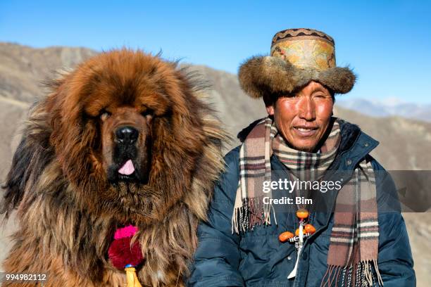 tibetan shepherd with his mastiff dog - tibetan mastiff stock pictures, royalty-free photos & images