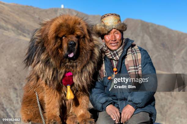 tibetan shepherd with his mastiff dog - tibetan culture stock pictures, royalty-free photos & images