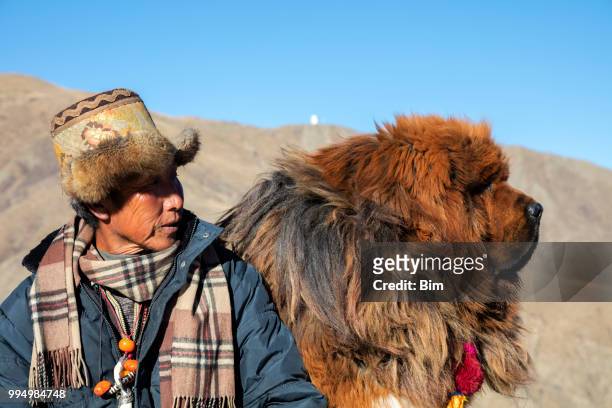 tibetan shepherd with his mastiff dog - tibetan ethnicity imagens e fotografias de stock