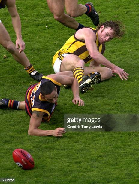Andrew McLeod for Adelaide and Jonathon Hay for Hawthorn in action in the match between the Adelaide Crows and the Hawthorn Hawks in round 21 of the...