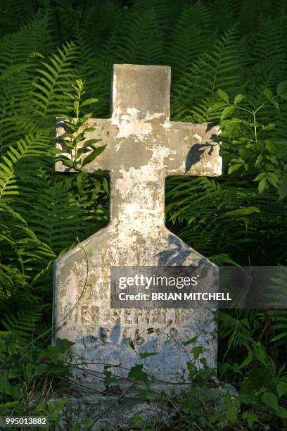 tomb stones in an old grave yard - tombstone stock pictures, royalty-free photos & images