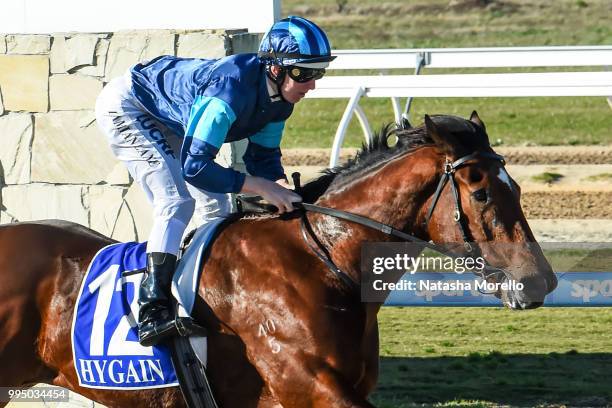 Alfa Oro ridden by Damian Lane wins the Superior Food Services Maiden Plate at Racing.com Park Synthetic Racecourse on July 10, 2018 in Pakenham,...