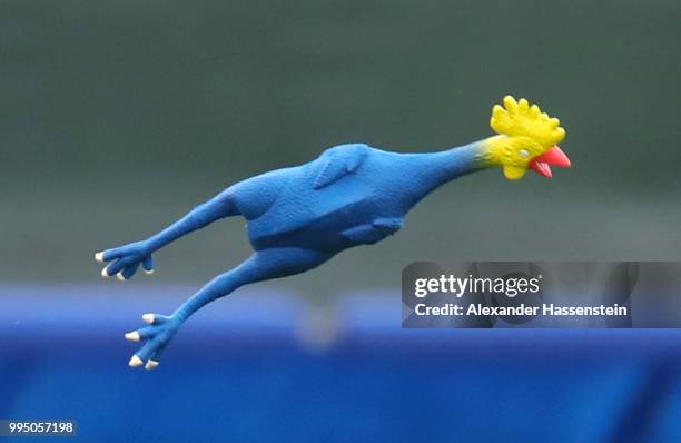 Toy chicken is seen during the England training session on July 10, 2018 in Saint Petersburg, Russia.