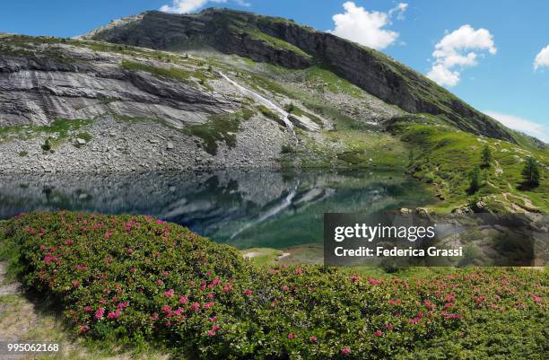 lower paione lake (lago del paione inferiore) in bognanco valley - alpes lepontine - fotografias e filmes do acervo