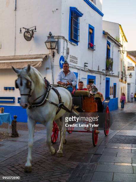 Horse and cart take tourists for for rides through the old streets of Cordoba, Spain.