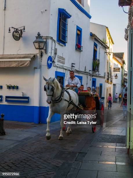 Horse and cart take tourists for for rides through the old streets of Cordoba, Spain.