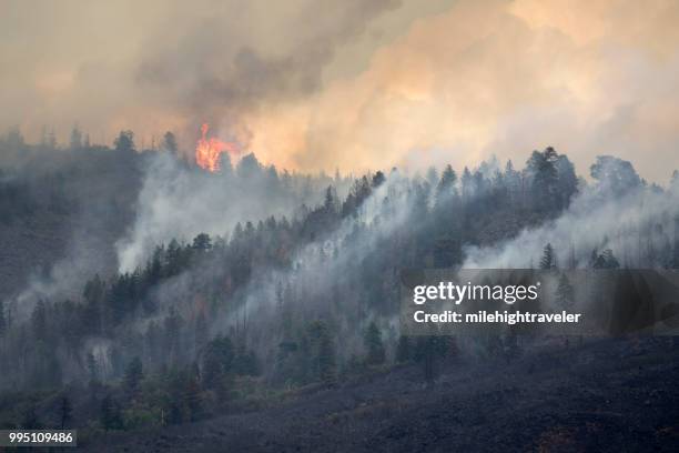 湖クリスティン森林火災玄武岩山コロラド州ロッキー山脈野火の煙 - 火災 ストックフォトと画像