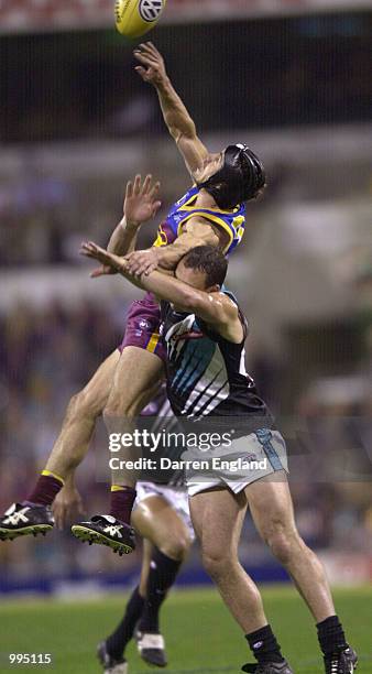 Shaun Hart of Brisbane fails to take a mark in front of Brent Guerra of Port Adelaide during the AFL round 16 match between the Brisbane Lions and...